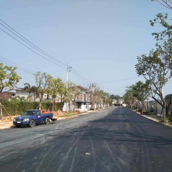 ANONA วัดศรีวารี