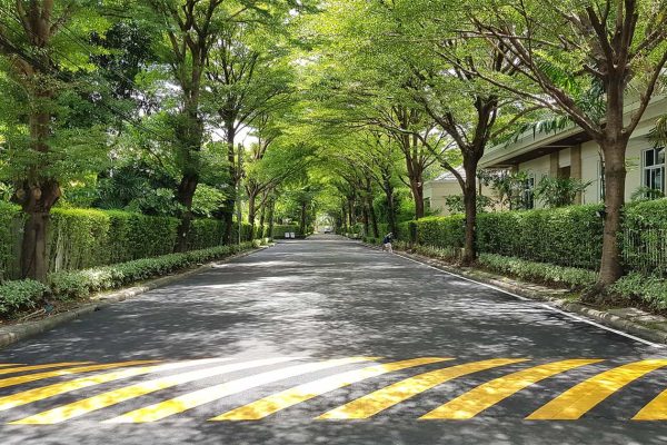 ถนนภายใน หมู่บ้านจัดสรร