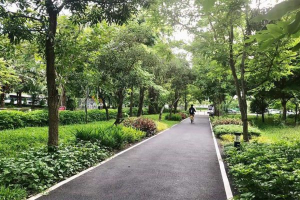 ทางจักรยาน มหาวิทยาลัยธรรมศาสตร์รังสิต