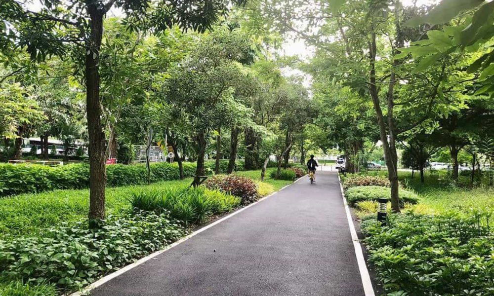ทางจักรยาน มหาวิทยาลัยธรรมศาสตร์รังสิต